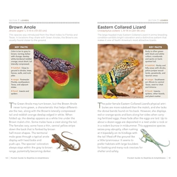 National Geographic Pocket Guide for Reptiles & Amphibians