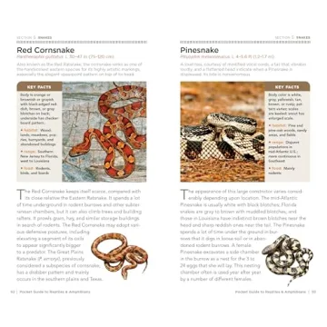 National Geographic Pocket Guide for Reptiles & Amphibians