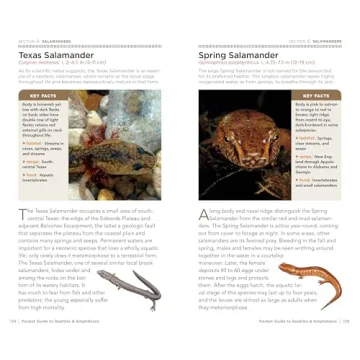 National Geographic Pocket Guide for Reptiles & Amphibians