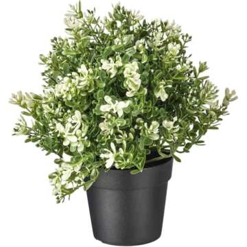 IKEA 9.5 Inch Artificial Thyme Plant for Stylish Decor