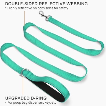 Best Double-Sided Reflective Dog Leash for Safety