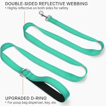 Best Double-Sided Reflective Dog Leash for Safety