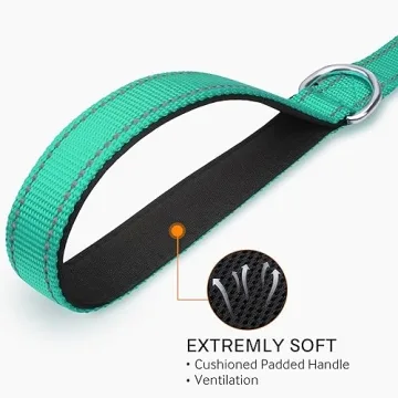 Best Double-Sided Reflective Dog Leash for Safety