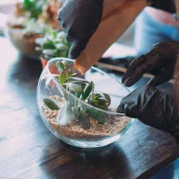 CYS EXCEL Glass Slant Cut Bubble Bowl (H-7" W-8") | Multiple Size Choices Slanted Globe Bowl Terrarium | Round Flower Vase Centerpiece