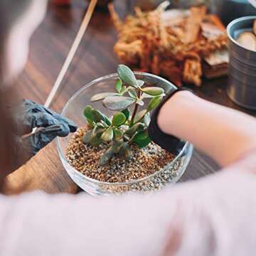 CYS EXCEL Glass Slant Cut Bubble Bowl (H-7" W-8") | Multiple Size Choices Slanted Globe Bowl Terrarium | Round Flower Vase Centerpiece