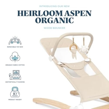 Heirloom Aspen Baby Bouncer with Organic Cotton Comfort