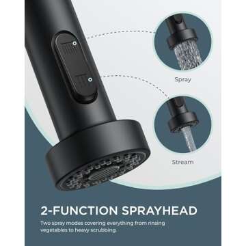 FORIOUS Black Kitchen Sink Faucet with Pull Down Sprayer, Stainless Steel Commercial Single Handle Classic Spring Pull Out Sink Faucet for Farmhouse Camper Laundry Utility Room RV