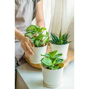 6.5" Plastic Pots for Plants with Trays, Indoor Set of 5 Plastic Planters Modern Flower Plant Pot with Drainage Hole for All House Plants, Herbs, Flowers, and Seeding Nursery, Cream White