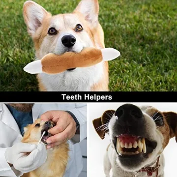 Nocciola Squeaky Plush Dog Toys Set for Small Dogs