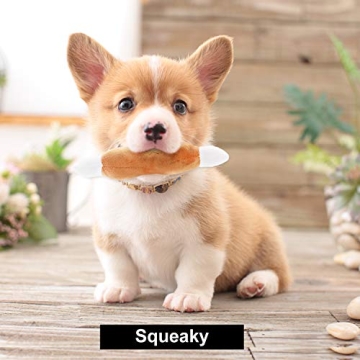 Nocciola Squeaky Plush Dog Toys Set for Small Dogs