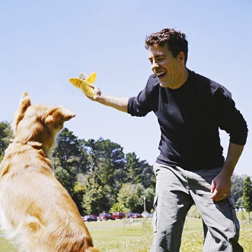 Nocciola Squeaky Plush Dog Toys Set for Small Dogs