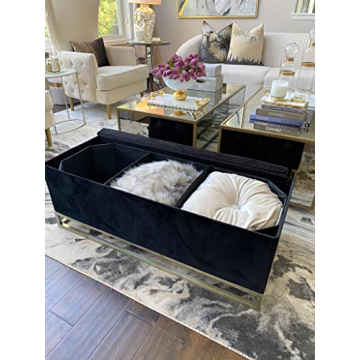 Inspire Me! Jessica Ottoman Bench with Storage Dividers