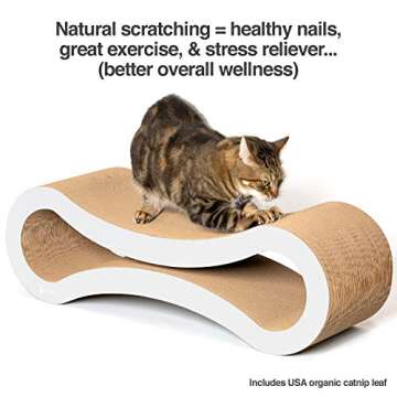 PetFusion Ultimate Cat Scratcher Lounge; Reversible Infinity Scratcher in Multiple Colors. Made from Recycled Corrugated Cardboard; Durable & Long Lasting. 1 Yr Warranty