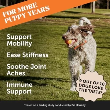 Pet Honesty Hip & Joint Pumpkin Soft Chews for Dogs