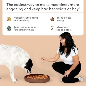 Reggie Stimulating Feeder Mat for Dogs - Vet Approved