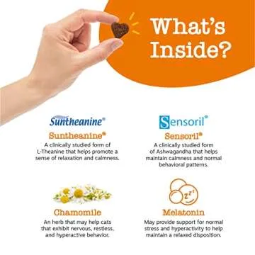 Zesty Paws Calming Chews for Cats - Composure & Relaxation for Everyday Stress & Separation - with Ashwagandha, Organic Chamomile, L-Theanine & L-Tryptophan – Bacon - 60 Count - Cat