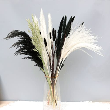 Stylish Black and White Dried Pampas Grass for Home Decor