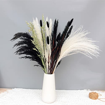 Stylish Black and White Dried Pampas Grass for Home Decor