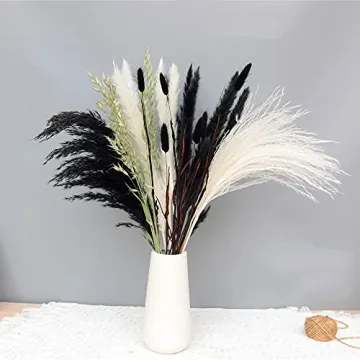 Stylish Black and White Dried Pampas Grass for Home Decor
