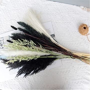 Stylish Black and White Dried Pampas Grass for Home Decor