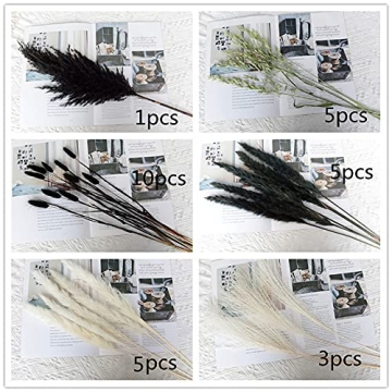 Stylish Black and White Dried Pampas Grass for Home Decor