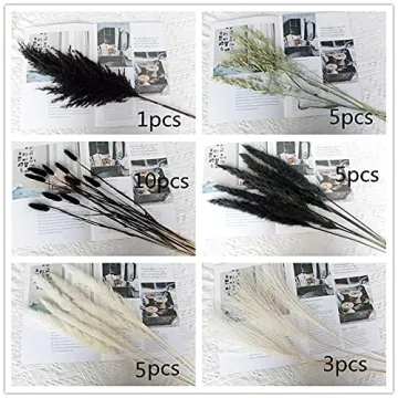 Stylish Black and White Dried Pampas Grass for Home Decor