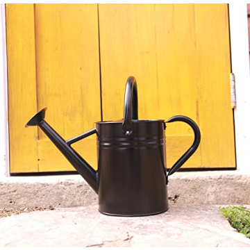 WEQUALITY Watering Can for Outdoor and Indoor Plants，1 Gallon Metal Plant Watering Can with Handle...