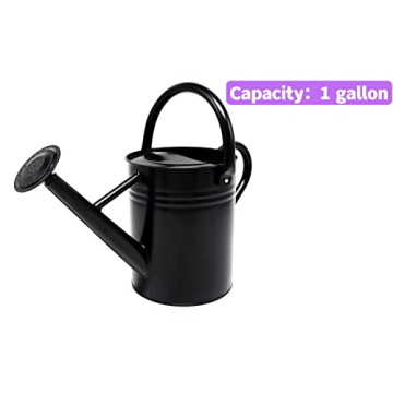 Durable WEQUALITY Watering Can for All Garden Needs