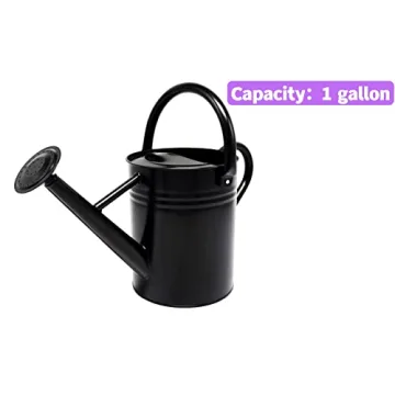 Durable WEQUALITY Watering Can for All Garden Needs