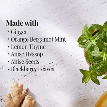 Orange Ginger Mint Herbal Tea - Caffeine-Free Delight