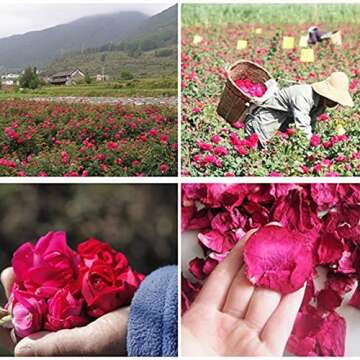 DoraMagic Dried Red Rose Petals 1.75oz/50g, Real Natural Dried Rose Petals for Bath, Soap Making, Candle Making, Wedding, Confetti, DIY Crafts, Non Edible (Red)