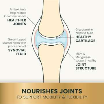 VetriScience Ultimate Strength Healthy Hip & Joint Chews, GlycoFlex Glucosamine, Chondroitin & Green-Lipped Mussel Joint Support Supplement for Dogs, Soothe Joint Discomfort, Peanut Butter, 120 Count