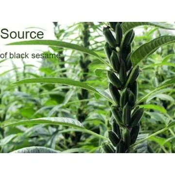 100% Black Sesame Seeds Powder, No Sugar, Low Temp Roasted, HALAL, NON-GMO, Black Sesame Paste Made in Taiwan 12.36oz (350g)