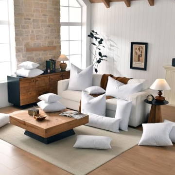 Basic Home 22x22 Decorative Down Feather Pillow Inserts