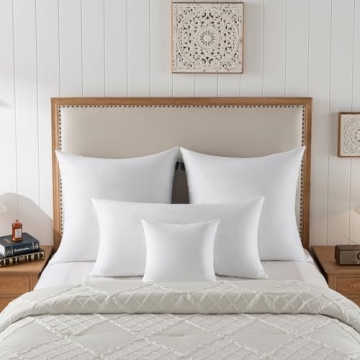 Basic Home 22x22 Decorative Down Feather Pillow Inserts