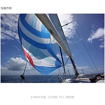 Sony Alpha 16mm F2.8 Wide-Angle E-Mount Fixed Lens for NEX-5 NEX-3 | SEL16F28 - International Version (No Warranty)