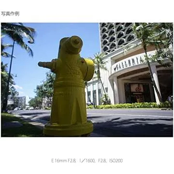 Sony Alpha 16mm F2.8 Wide-Angle E-Mount Fixed Lens for NEX-5 NEX-3 | SEL16F28 - International Version (No Warranty)