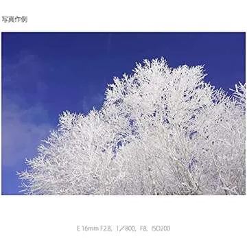 Sony Alpha 16mm F2.8 Wide-Angle E-Mount Fixed Lens for NEX-5 NEX-3 | SEL16F28 - International Version (No Warranty)