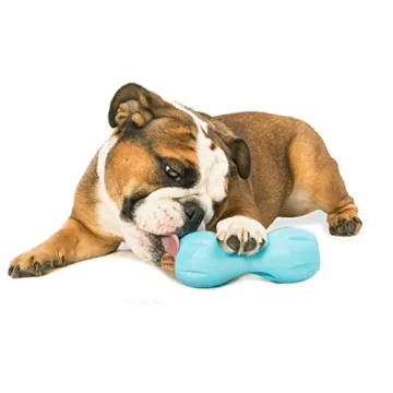 Interactive & Durable West Paw Dog Chew Toy