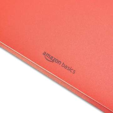 Amazon Basics Heavy Duty Plastic Folders with 2 Pockets for Letter Size Paper, Assorted Colors, Pack of 6