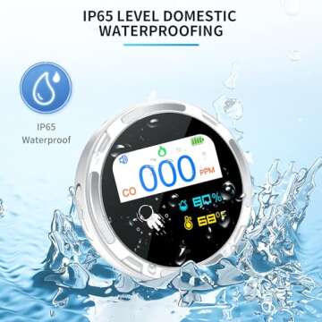 Portable CO Detector for Travel and Home Safety