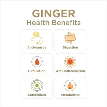 The Ginger People Ginger Rescue Chewable Tablets Drug Free Digestive Health, Chewable Tablets, Strong Ginger Flavor, 0.55 Oz, 240 Tablets, (Pack of 10)
