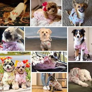 Blueberry Pet Daisy Flower Pullover Dog Hoodie - Baby Pink Christmas Sweater, Dog Pajamas & Accessories, Dog Hoodies & Sweatshirt, Perfect Dog Sweaters for Small Dogs Girl, Back 16"