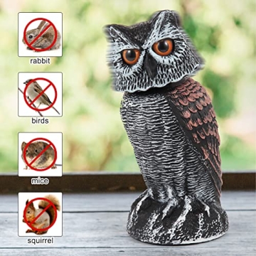 Hedoc Owl Decoys - Effective Garden Bird Deterrents