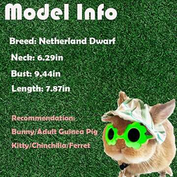 Cute Summer Watermelon Hat & Sunglasses for Pet Bunny Small Animal Clothing Costume Oufit Accessorie...