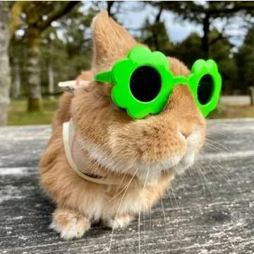 Cute Summer Watermelon Hat & Sunglasses for Pet Bunny Small Animal Clothing Costume Oufit Accessories for Rabbit Guinea Pig Kitty Puppy Chinchilla Ferrets