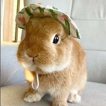 Cute Summer Watermelon Hat & Sunglasses for Pet Bunny Small Animal Clothing Costume Oufit Accessories for Rabbit Guinea Pig Kitty Puppy Chinchilla Ferrets