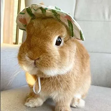 Cute Summer Watermelon Hat & Sunglasses for Pet Bunny Small Animal Clothing Costume Oufit Accessories for Rabbit Guinea Pig Kitty Puppy Chinchilla Ferrets