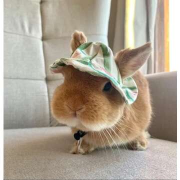 Cute Summer Watermelon Hat & Sunglasses for Pet Bunny Small Animal Clothing Costume Oufit Accessories for Rabbit Guinea Pig Kitty Puppy Chinchilla Ferrets