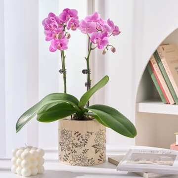 STHIE Indoor Ceramic Plant Pots with Drainage Holes 5 Inch Cute Succulent Flower Pots Small Orchid P...